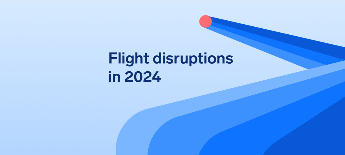 236 million US passengers had their flight delayed or canceled in 2024