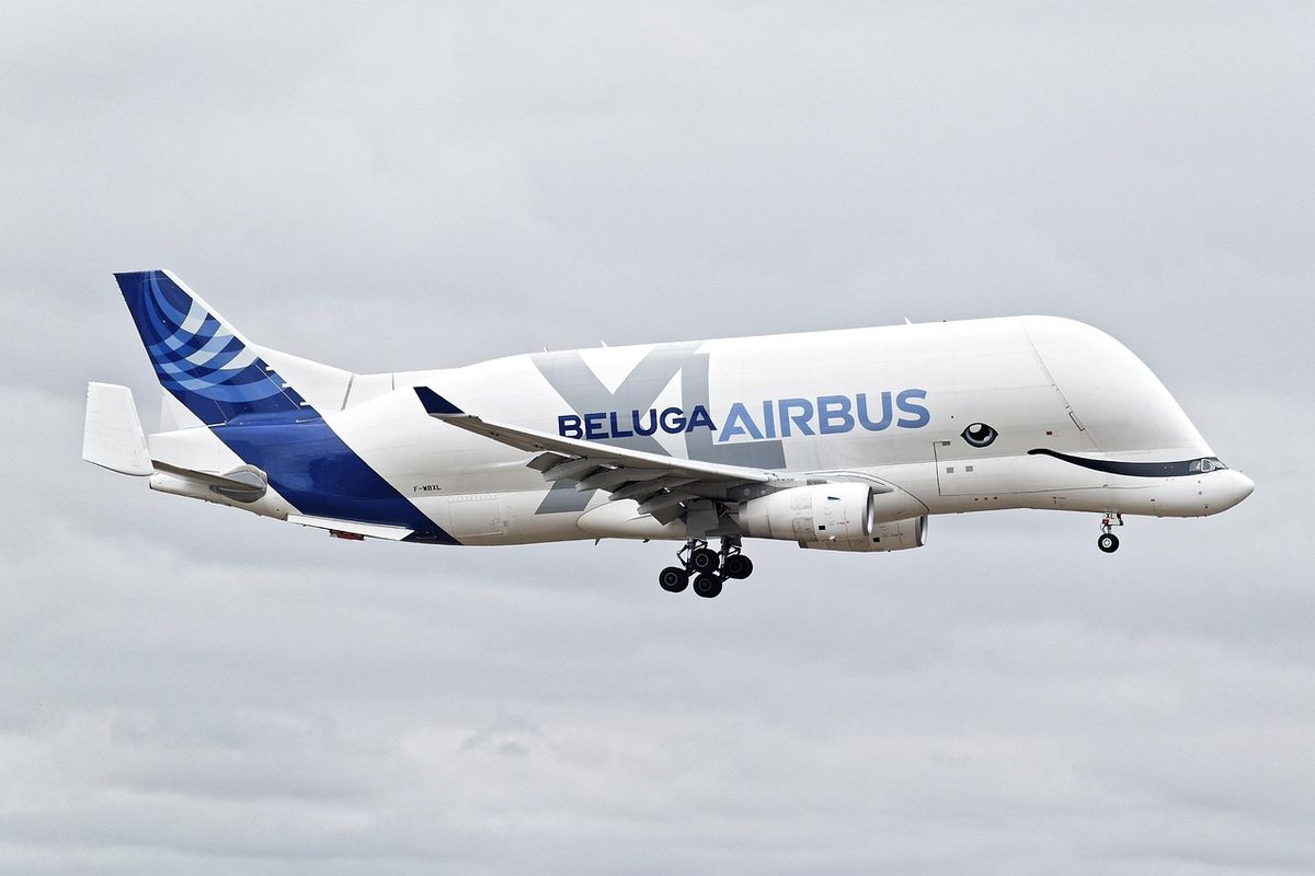 Airbus Beluga XL flying in the sky