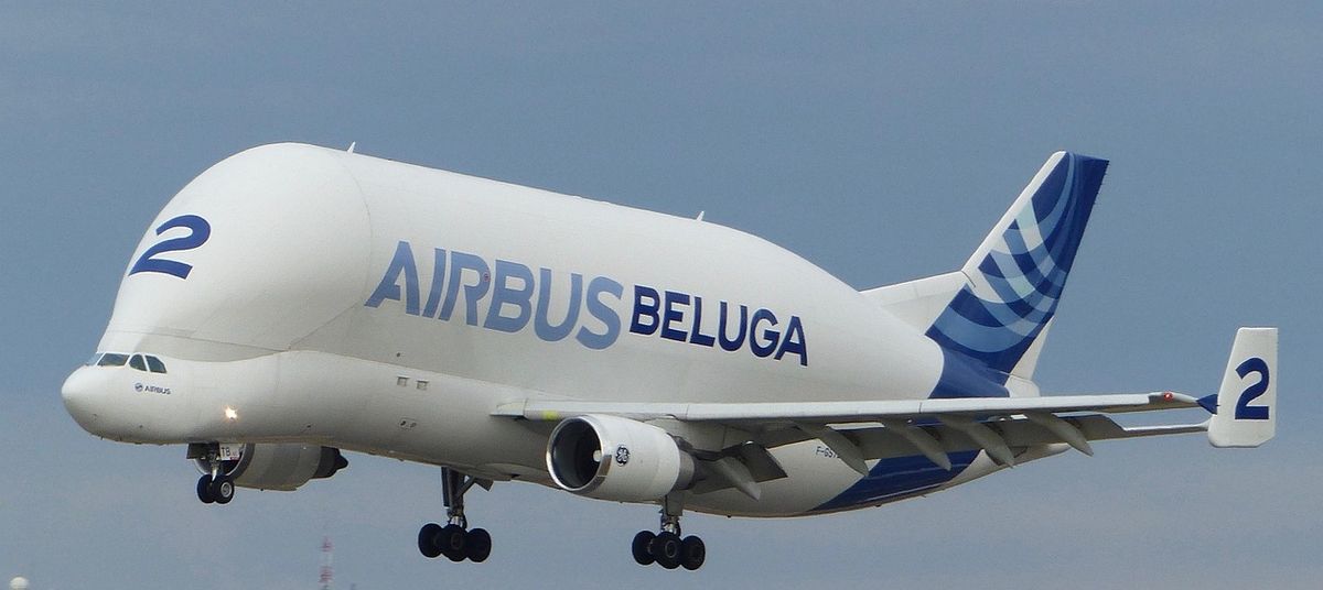 Avion Airbus Beluga grande