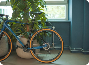 Bicicleta