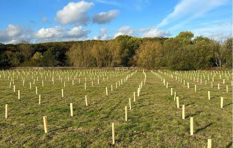 Englanti: Essex Forest Initiative