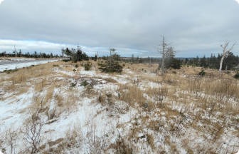 Nuova Scozia: ripristino delle Highlands di Cape Breton