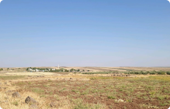 Turecko: Agrolesnické hospodaření