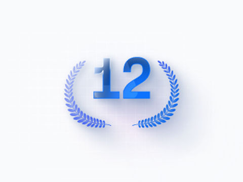 Более 12 лет опыта работы